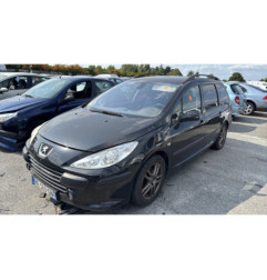Malle/Hayon arriere PEUGEOT 307