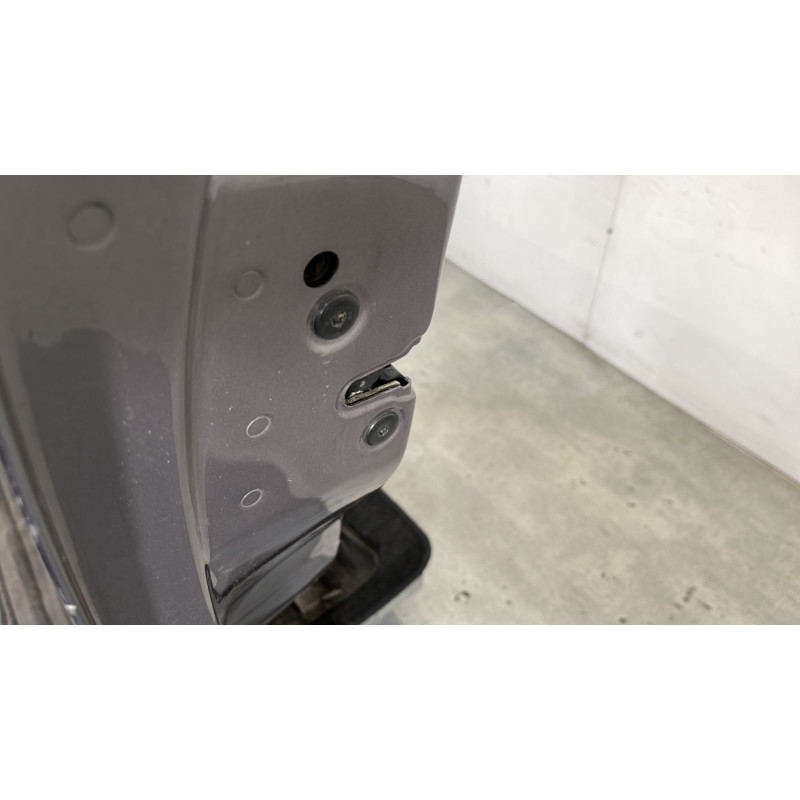 Porte avant gauche RENAULT VEL SATIS Photo n°3