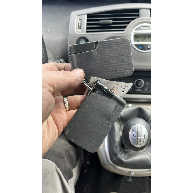 Vitre arriere droit RENAULT SCENIC 2 Photo n°14