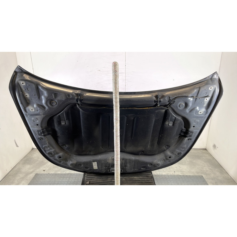 Capot RENAULT LATITUDE Photo n°9