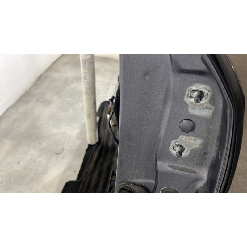 Porte arriere gauche RENAULT LATITUDE Photo n°2