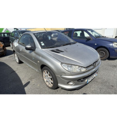 Porte avant gauche PEUGEOT 206