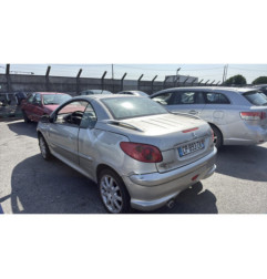 Porte avant gauche PEUGEOT 206