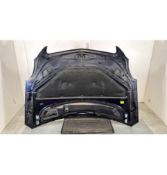 Capot MERCEDES CLASSE R 251