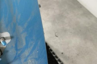 Porte arriere droit RENAULT MODUS