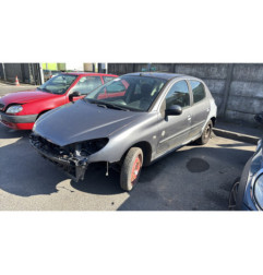 Porte arriere gauche PEUGEOT 206