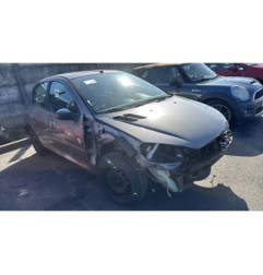 Porte arriere gauche PEUGEOT 206