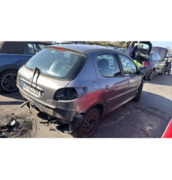 Porte arriere gauche PEUGEOT 206