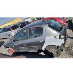 Porte arriere gauche PEUGEOT 206