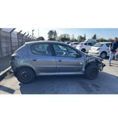 Porte arriere gauche PEUGEOT 206