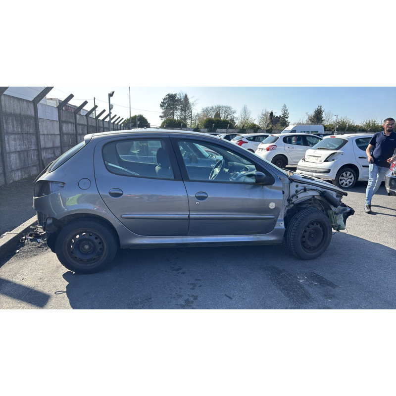 Porte arriere gauche PEUGEOT 206 Photo n°13