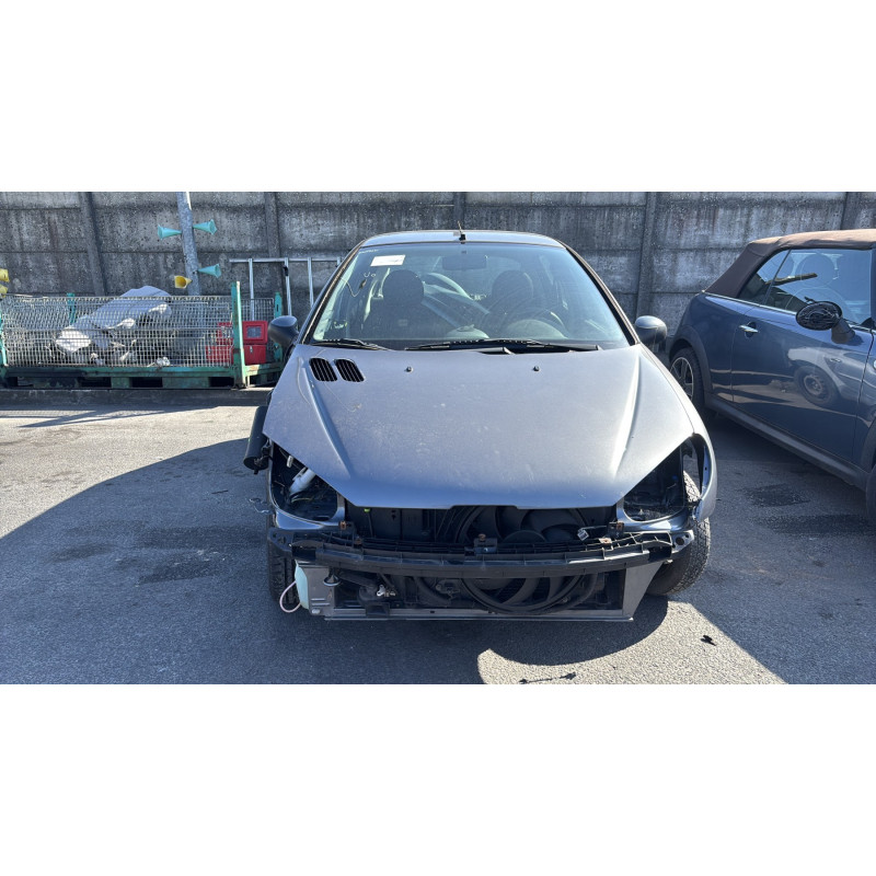 Porte arriere gauche PEUGEOT 206 Photo n°14
