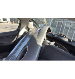 Porte arriere gauche PEUGEOT 206