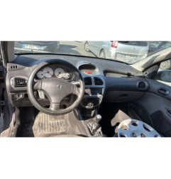 Porte arriere gauche PEUGEOT 206