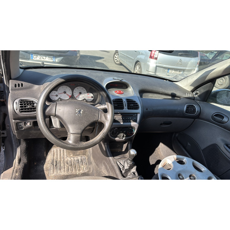 Porte arriere gauche PEUGEOT 206 Photo n°18