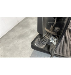Porte arriere gauche CITROEN C3 3