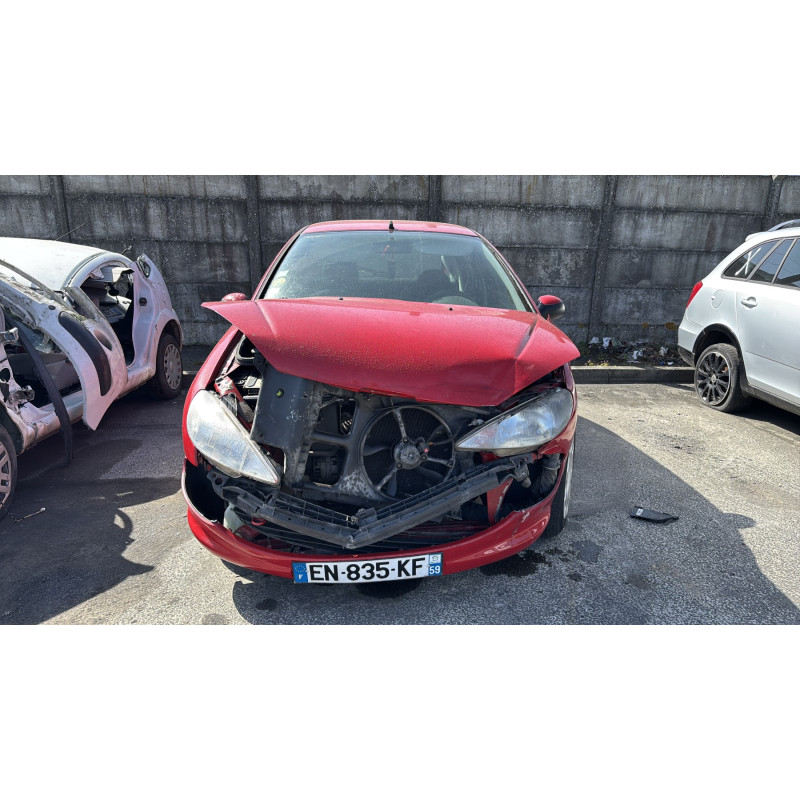 Porte arriere gauche PEUGEOT 206 Photo n°14