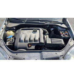 Custode arriere gauche (porte) VOLKSWAGEN GOLF 5