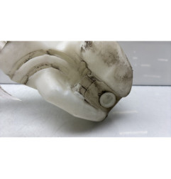 Vase de lave glace CITROEN C3 2