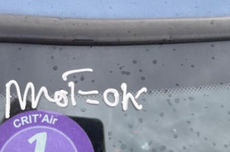 Pedale d'accelerateur MINI MINI 2 R55