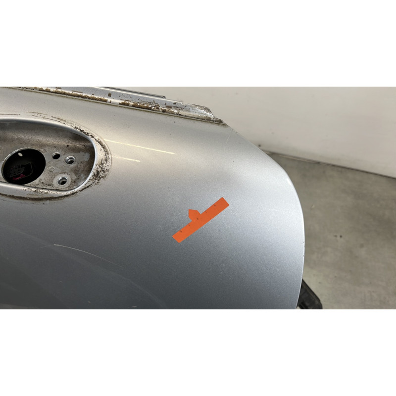 Porte avant droit MINI MINI 1 R50/R53 Photo n°5