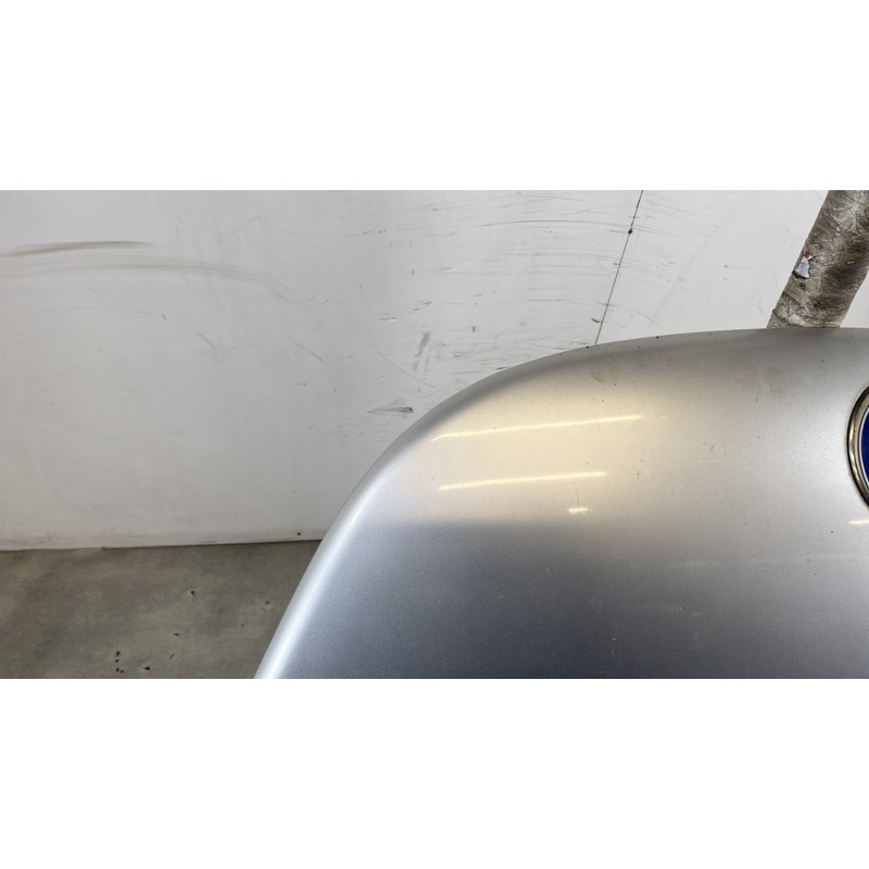 Capot VOLKSWAGEN NEW BEETLE 1 Photo n°2