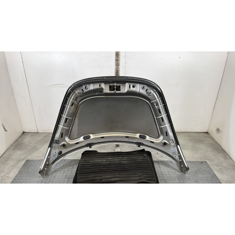 Capot VOLKSWAGEN NEW BEETLE 1 Photo n°9