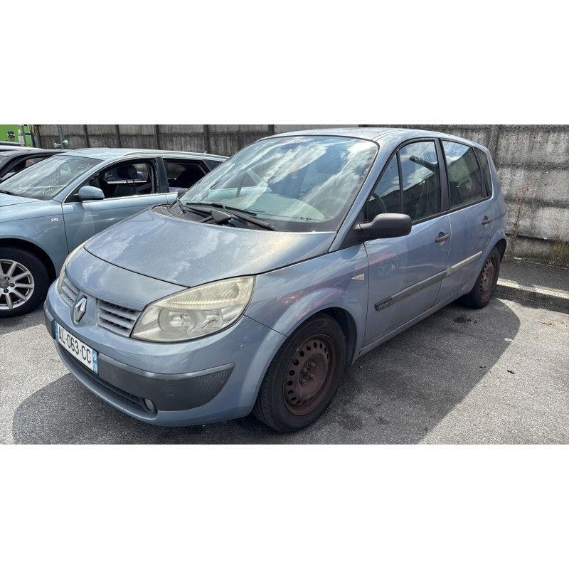 Custode arriere gauche RENAULT SCENIC 2 Photo n°5