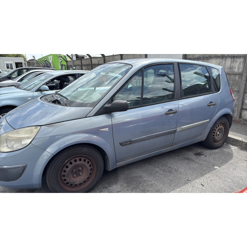 Custode arriere gauche RENAULT SCENIC 2 Photo n°10