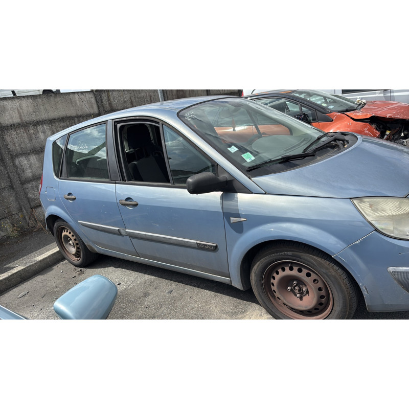 Custode arriere gauche RENAULT SCENIC 2 Photo n°11