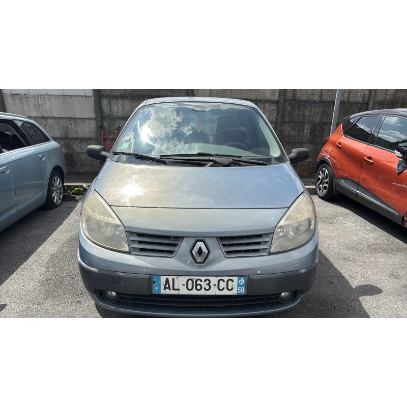 Custode arriere gauche RENAULT SCENIC 2 Photo n°12