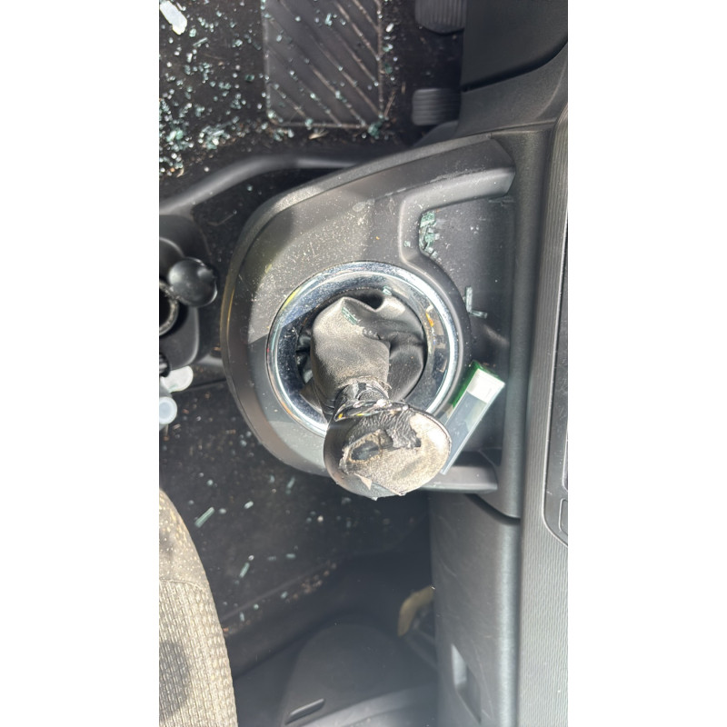 Vitre arriere gauche CITROEN C4 PICASSO 1 Photo n°19