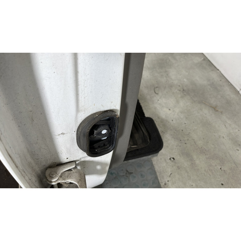 Porte arriere droit RENAULT MEGANE 3 Photo n°5