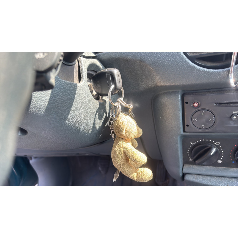 Glace retroviseur droit RENAULT KANGOO 1 Photo n°18