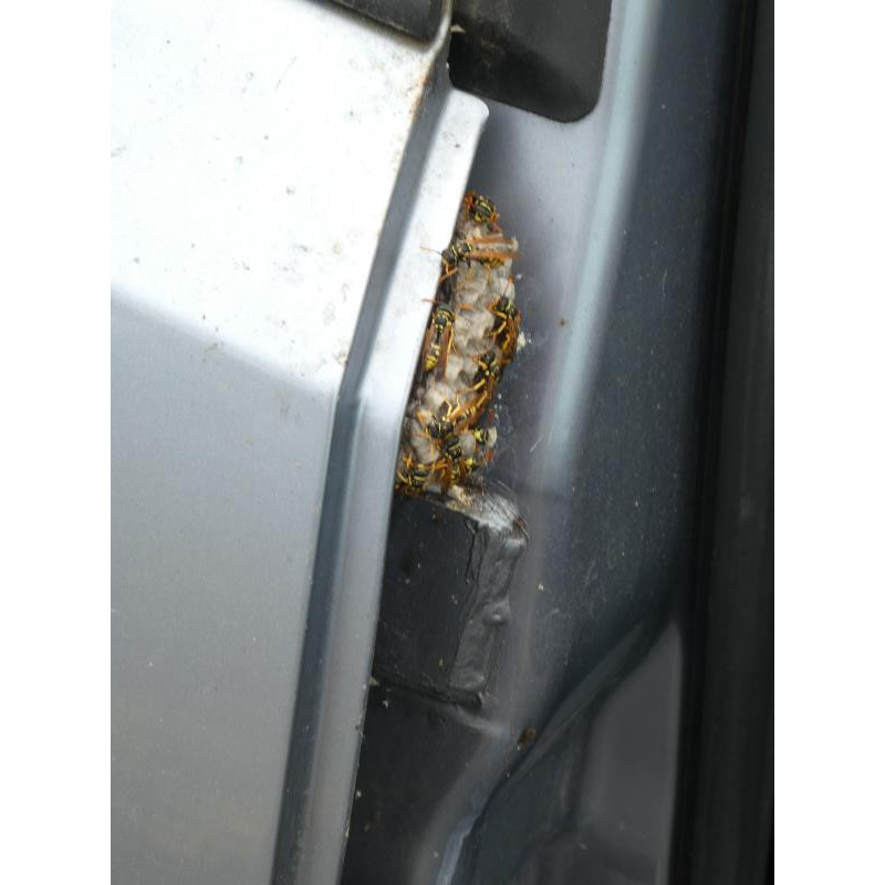 Charniere de capot OPEL ASTRA H Photo n°22