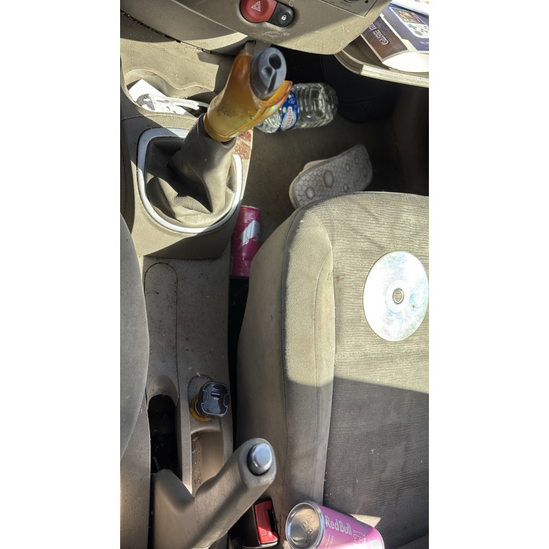 Custode arriere gauche (porte) RENAULT CLIO 3 Photo n°17