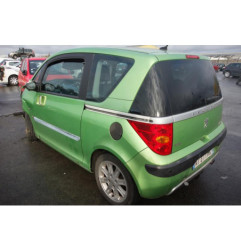 Neiman PEUGEOT 1007