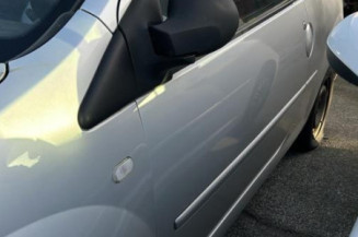 Debitmetre RENAULT TWINGO 2