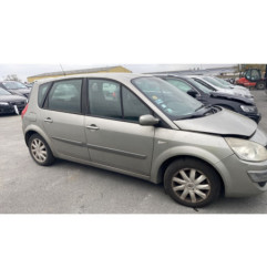 Custode avant droit (porte) RENAULT SCENIC 2