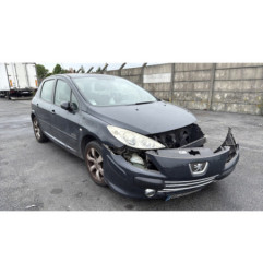Porte arriere gauche PEUGEOT 307