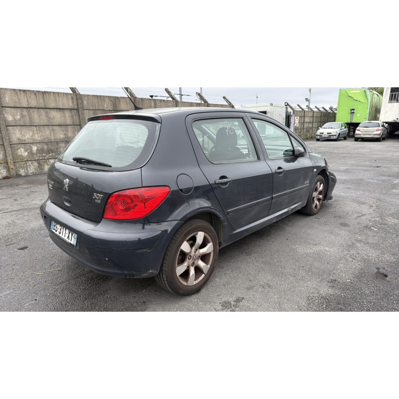 Porte arriere gauche PEUGEOT 307 Photo n°9