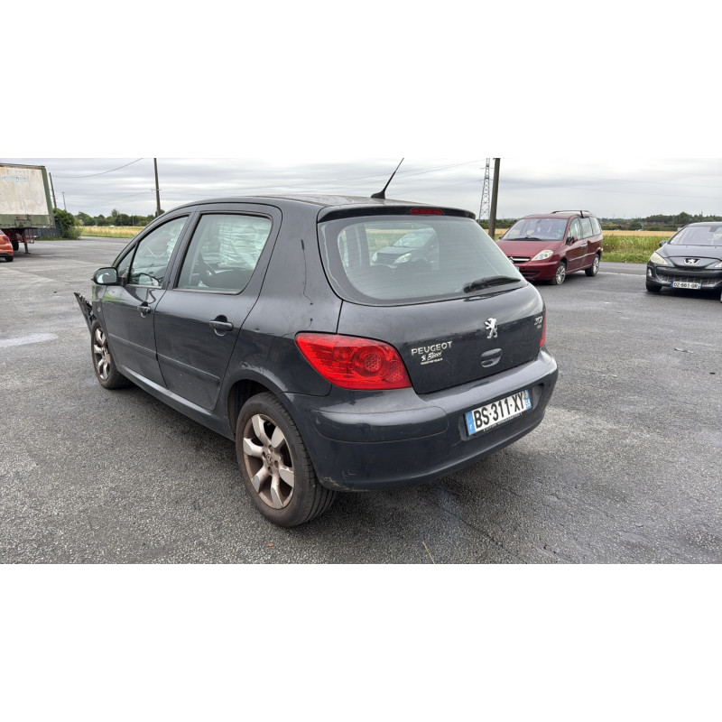 Porte arriere gauche PEUGEOT 307 Photo n°10
