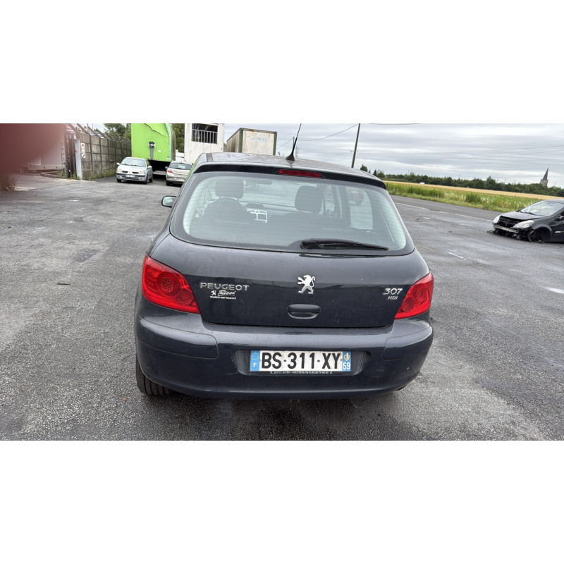 Porte arriere gauche PEUGEOT 307 Photo n°11
