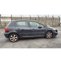 Porte arriere gauche PEUGEOT 307