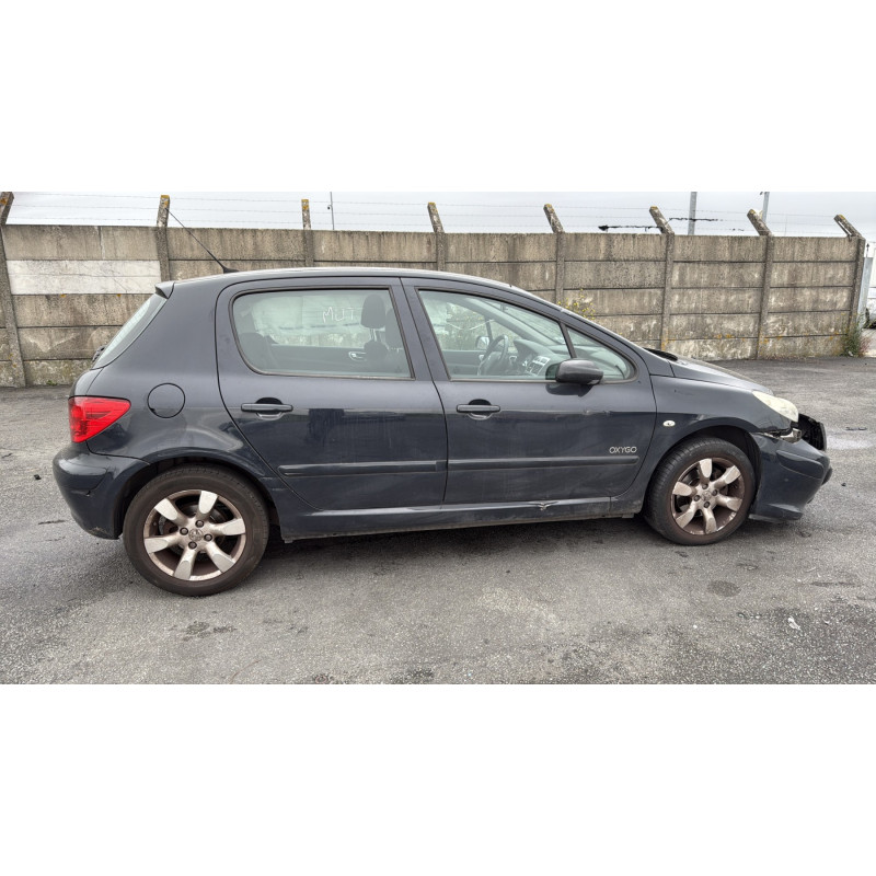 Porte arriere gauche PEUGEOT 307 Photo n°13