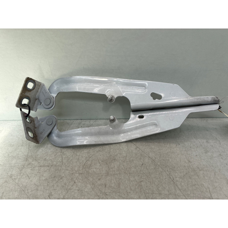 Charniere de capot RENAULT KANGOO 2 Photo n°5