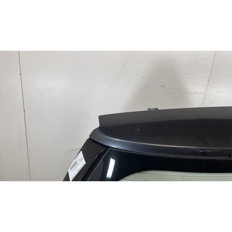 Malle/Hayon arriere RENAULT SCENIC 2 Photo n°2