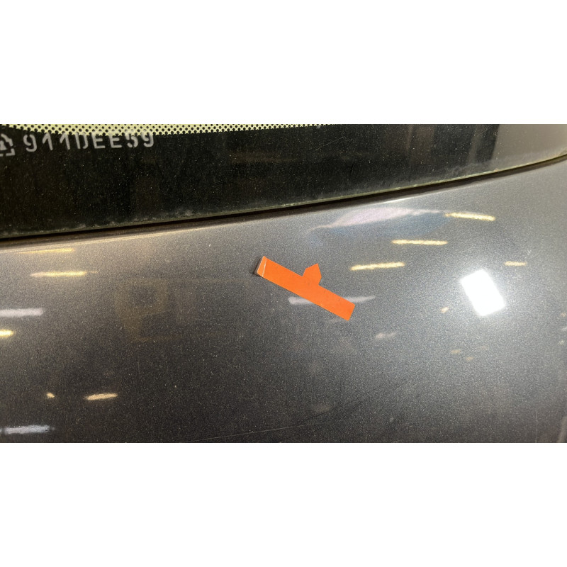 Malle/Hayon arriere RENAULT SCENIC 2 Photo n°8