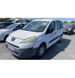Custode arriere gauche PEUGEOT PARTNER 2