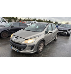 Cric PEUGEOT 308 1